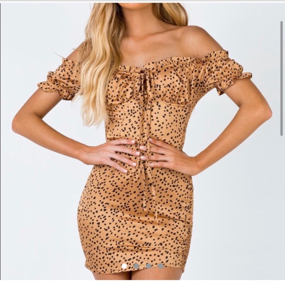 Princess polly mini dress